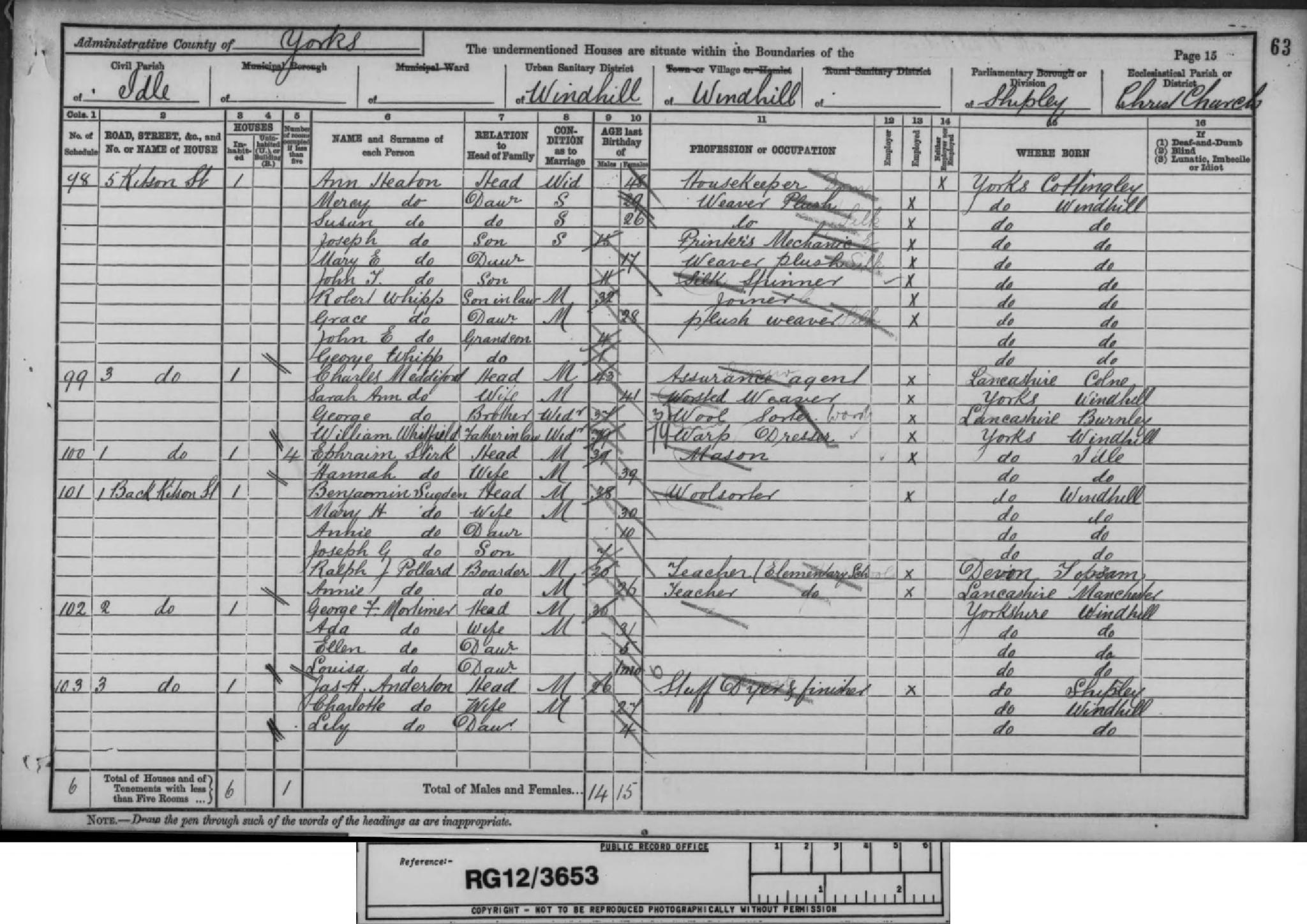 Census England 1891 RG12-3653 Folio-63 Page-15 Schedule-100